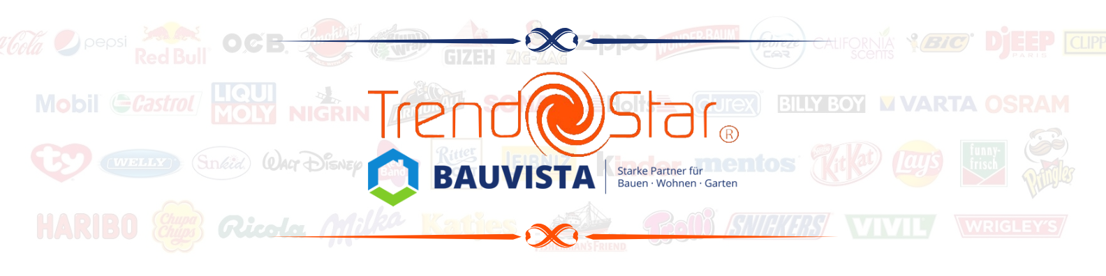 shop_banner_bauvista